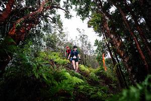 BIB: 
                            <button type="button" onclick="openModal(26203540)" class="btn btn-primary btn-sm float-right btn-popup" data-toggle="modal" data-target=".modal-high-quality">
                        <i class="fas fa-shopping-cart"></i> Add to Cart
                    </button>
                                            <button type="button" onclick="isThisMe(26203540, true)" class="btn btn-success btn-sm float-right btn-popup btn-isme hidden" data-toggle="tooltip" data-placement="bottom" title="นี่คือรูปของคุณใช่ไหม คลิกที่นี่เพื่อเอาเข้าอัลบั้ม">
                        <i class="fas fa-plus"></i> Add to album
                    </button>
                    <button type="button" onclick="isThisMe(26203540, false)" class="btn btn-warning btn-sm float-right btn-popup btn-isnotme hidden">
                        <i class="fas fa-ban"></i> Remove from album
                    </button>